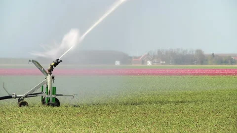 Irrigation sprinkler spraying water Stock Footage