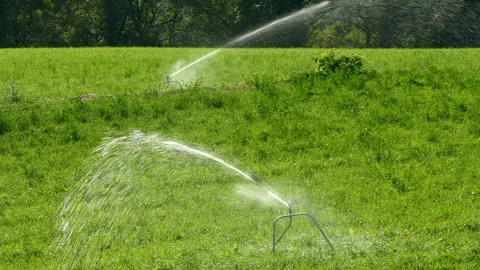 Irrigation by sprinklers. 4k Resolution. Stock Footage 252087782