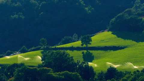 Irrigation by sprinklers with backlight at sunset. 4k Resolution.Time Lapse Stock Footage 273601405