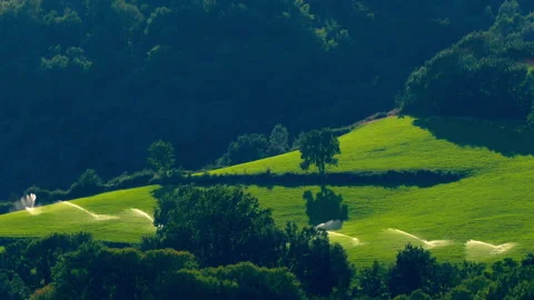 Irrigation by sprinklers with backlight at sunset.4k Resolution. Video stock 273600253