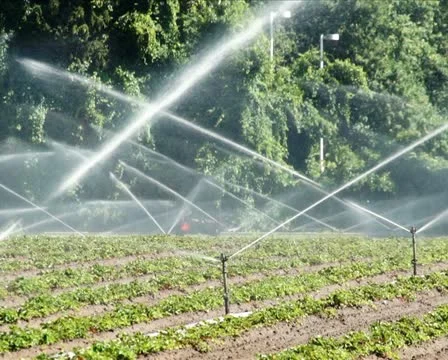 Irrigation Sprinklers on a Field PAL Stock Footage 11496853