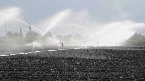 Irrigation Sprinklers 库存影片 91350776