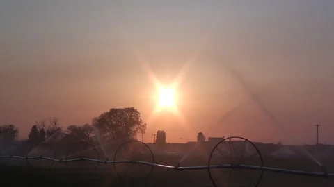 Irrigation Sprinklers Watering Field At Sunset Stock Footage
