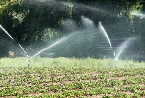 Irrigation Sprinklers at work NTSC Stock Footage 11485955