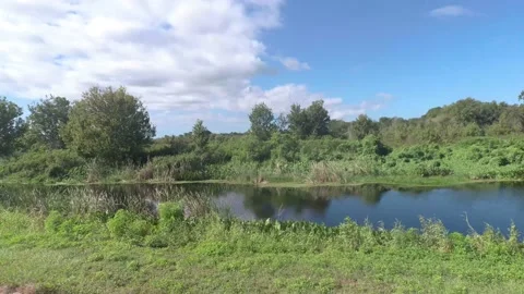 Irrigation stream at a park in Central Florida Stock Footage 142586843