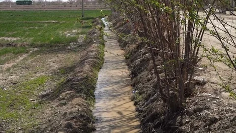 Irrigation stream on a plantation in Uzbekistan Video stock 106221353