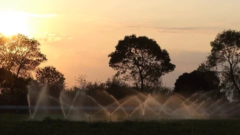 Irrigation on Sunset Video stock 89136234