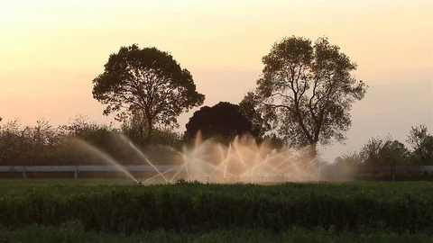 Irrigation with Sunset Video stock 89136515