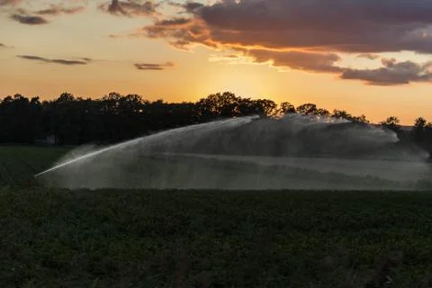 Irrigation in the sunset 库存照片