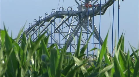 Irrigation Sweep low angle in corn 2 Stock-Footage 39992522