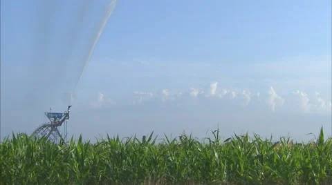 Irrigation Sweep low wide angle in corn Stock-Footage 39992644