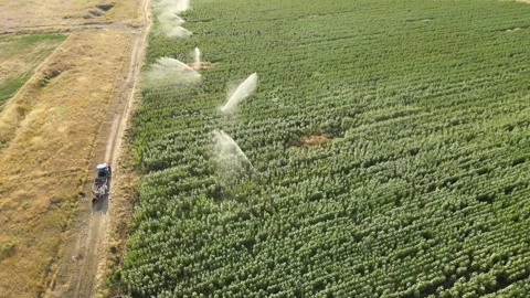 Irrigation system aerial view Stock Footage 240756971