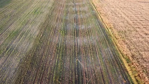 The irrigation system on the agricultural field. Stock Footage 136601442