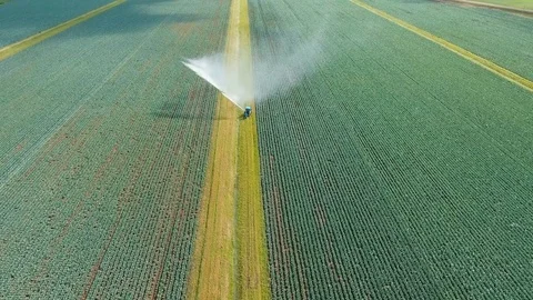 Irrigation system on agricultural land. Stock Footage 79685803