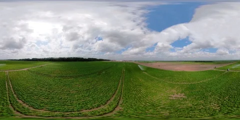 Irrigation system on agricultural land. Stock Footage 99168375