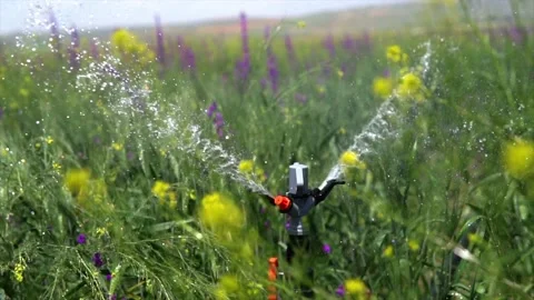 Irrigation system of agricultural lands Stock Footage 212060918