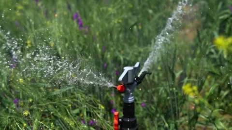 Irrigation system of agricultural lands Stock Footage 213599603
