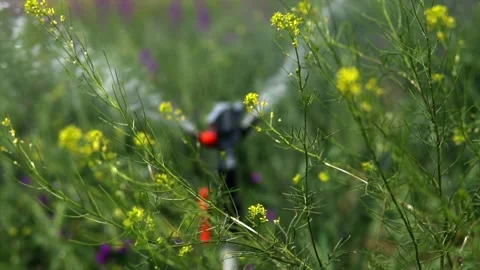 Irrigation system of agricultural lands Stock Footage 213599754