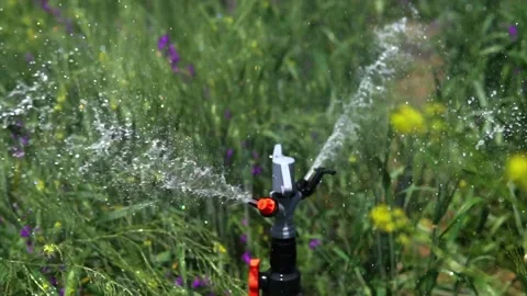 Irrigation system of agricultural lands Stock Footage 213600023