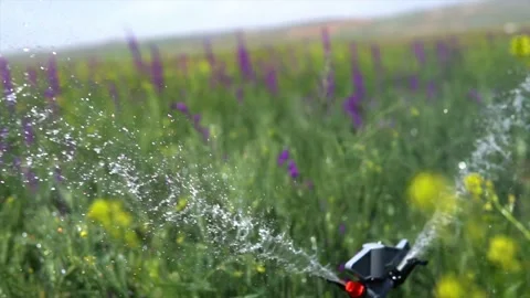 Irrigation system of agricultural lands Stock Footage 213601708