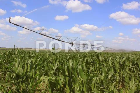 Irrigation system for agriculture Stock Photos