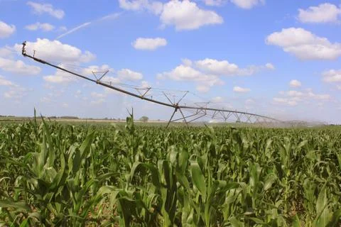 Irrigation system for agriculture Stock Photos