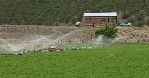 Irrigation system alfalfa farm field crop agriculture 4K Stock Footage 90341996