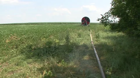 Irrigation system, day light Stock Footage 41134573