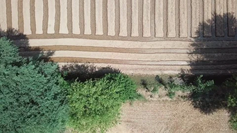 Irrigation System in farm Stock Footage 90679183