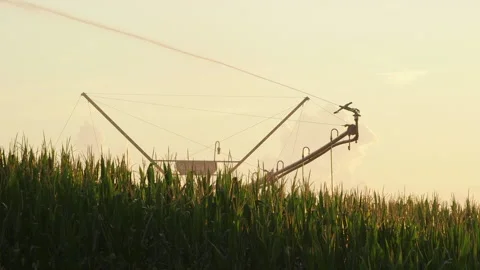 Irrigation system on farm watering corn crops Vídeos de archivo 137620127
