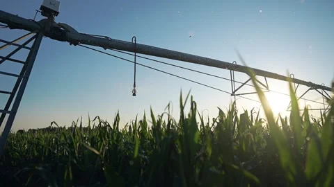 An irrigation system in field. A field of crops with irrigation machinery Stock Footage 319328775
