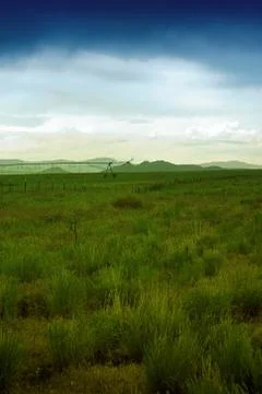 Irrigation system in the field Stock Photos