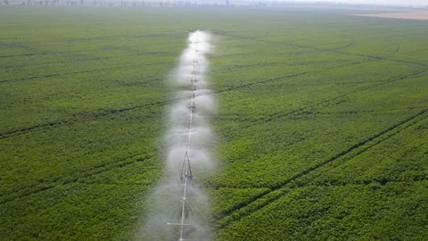 Irrigation system of fields. Aerial 库存影片 101134090