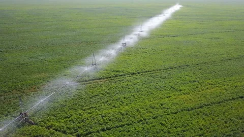 Irrigation system of fields. Aerial Video stock 101166090