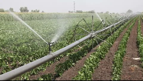 Irrigation system Stock Footage 8922328