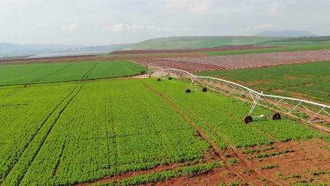 Irrigation System Stock Footage 125846890