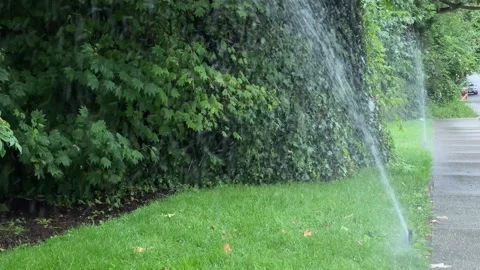 Irrigation system Stock Footage 135841102