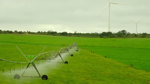 Irrigation system in function watering agricultural plants. 스톡 동영상 195867693