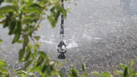 Irrigation system in function watering agricultural plants. close up shot Video stock 226299215