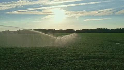 Irrigation system in function watering agricultural plants. Sprinklers Video stock 300402067