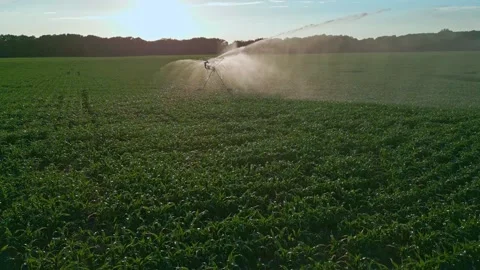 Irrigation system in function watering agricultural plants. Sprinklers Video stock 304612781