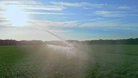 Irrigation system in function watering agricultural plants. Sprinklers 스톡 동영상 309267116