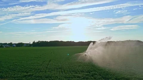 Irrigation system in function watering agricultural plants. Sprinklers 動画素材 310712270