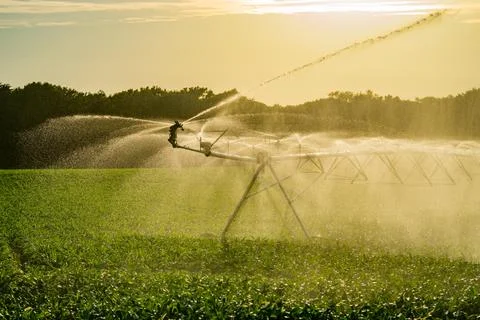 Irrigation system in function watering agricultural plants. Sprinklers Stock Photos