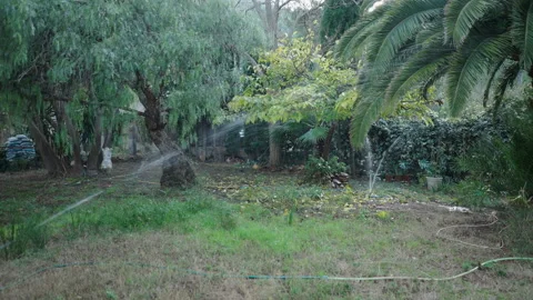 Irrigation system functioning in backyard at traditional Spanish house Video stock 209538313