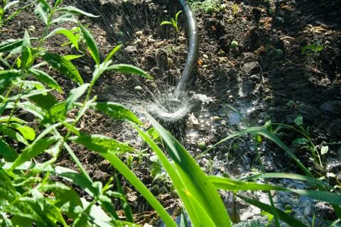 Irrigation system in the garden Stock Photos