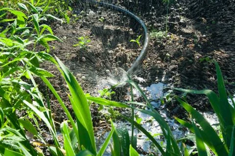 Irrigation system in the garden Stock Photos