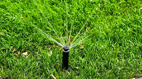 Irrigation system in home garden Vídeo Stock 310045242