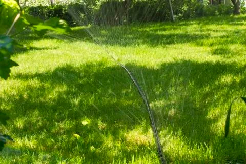 Irrigation system for the lawn Stock Photos