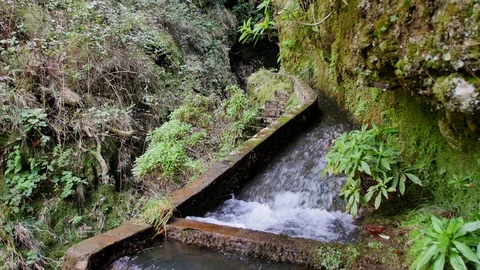 Irrigation system on Madeira. Vídeos de archivo 102665037